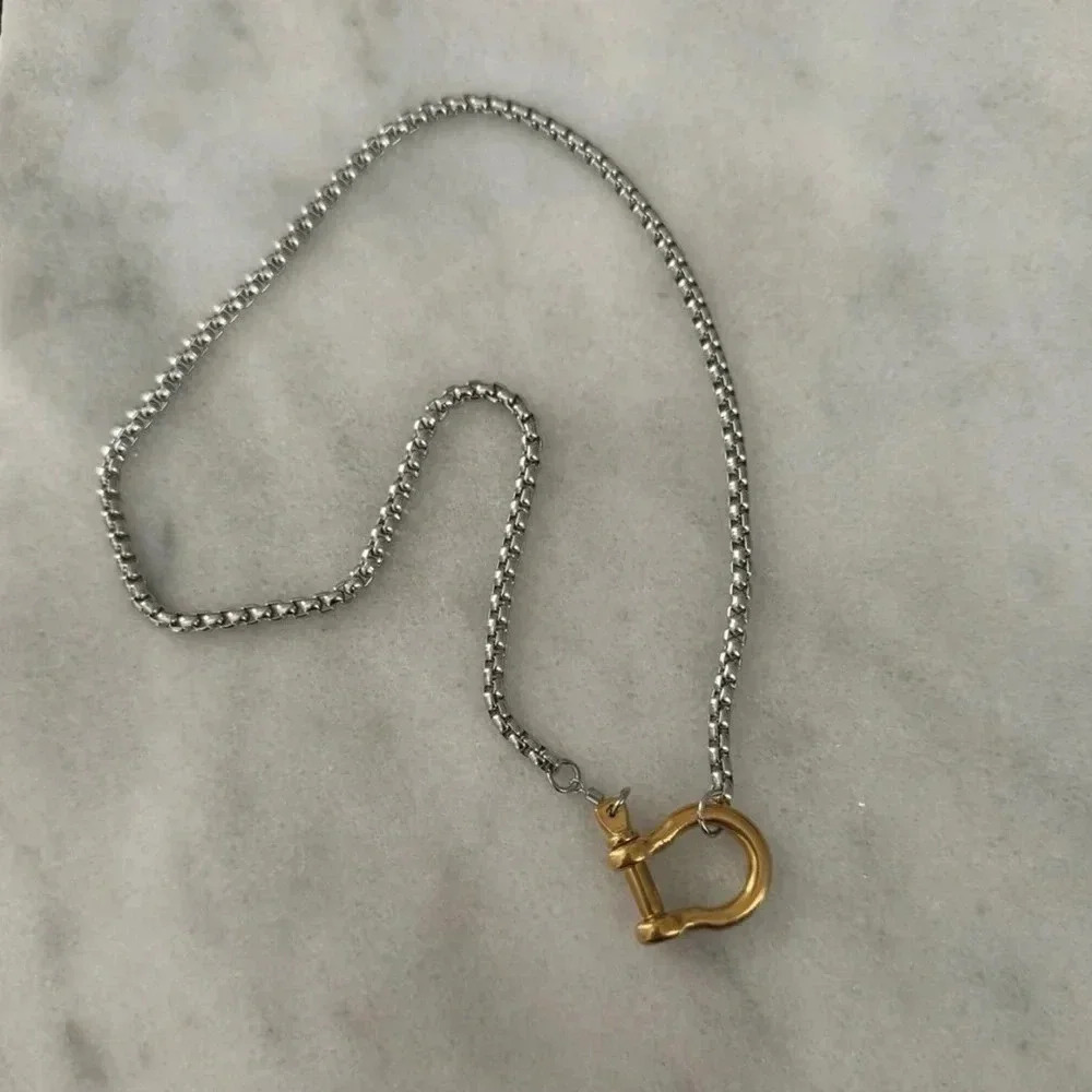 COPY - Gold Chain Two Tone Silver Horse Bit Chunky Charm Clasp Carabiner Neckla… - Picture 2 of 4